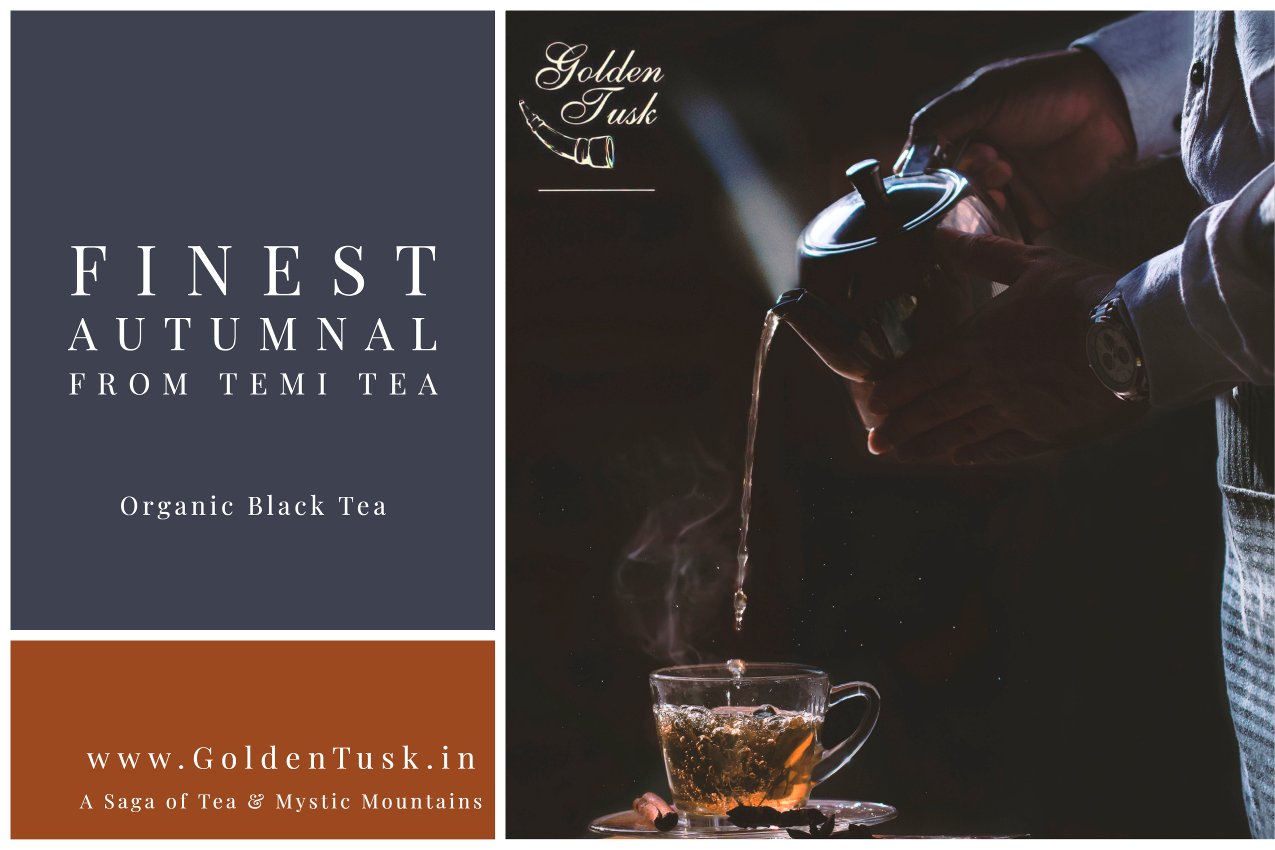 Autumn Delight - Image 2