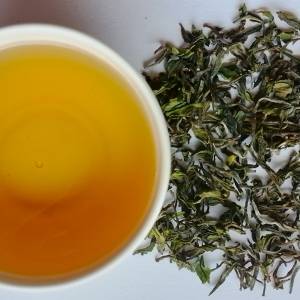 First Flush Darjeeling Oolong Tea